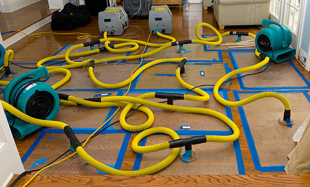 Professional Basement Flood Cleanup technician working in Cambridge, MN
